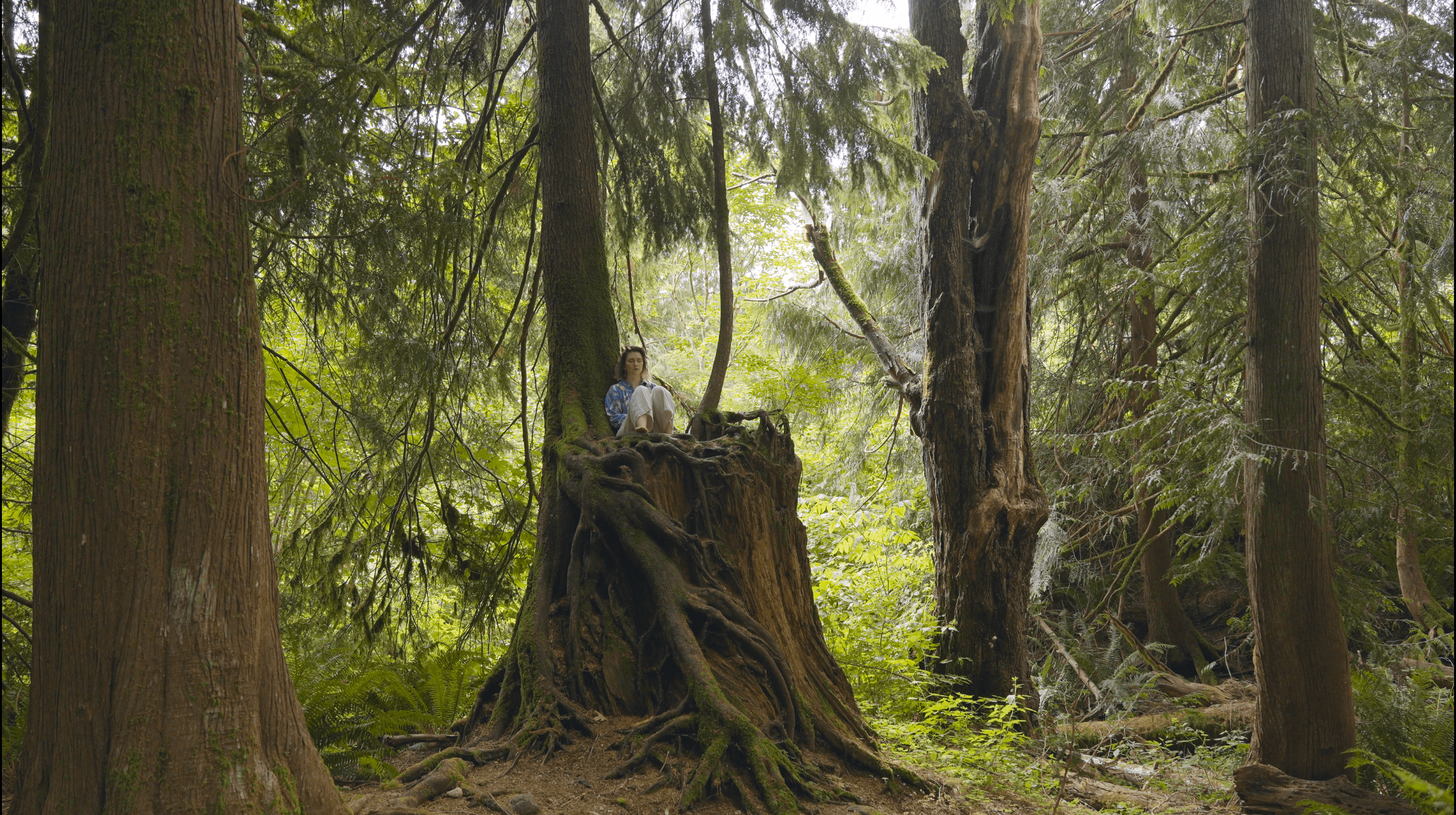 Live Zoom Reading & Training background